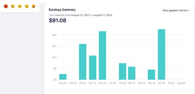 senprints-earning-summary